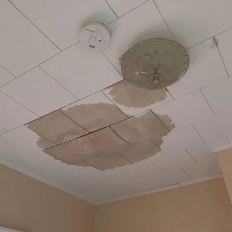 Ceiling Water Damage Repair in Dyersburg, TN