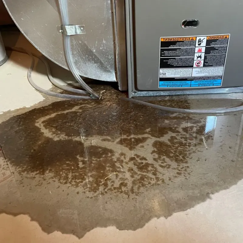 Pipe Burst and Leak Restoration in Dyersburg, TN